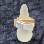 Preview: Ring Bi-Color