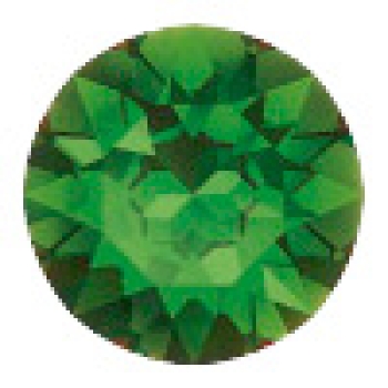 Stecker 5 mm - Fern Green