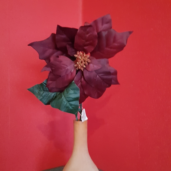 Dekoblume Weihnachtsstern