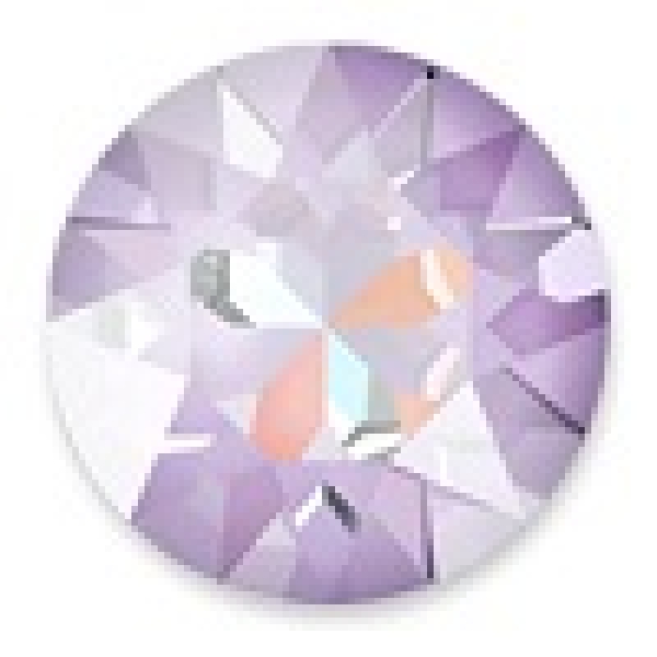 Lavender Delite